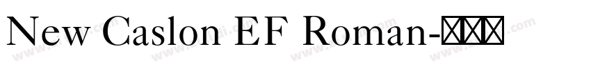 New Caslon EF Roman字体转换